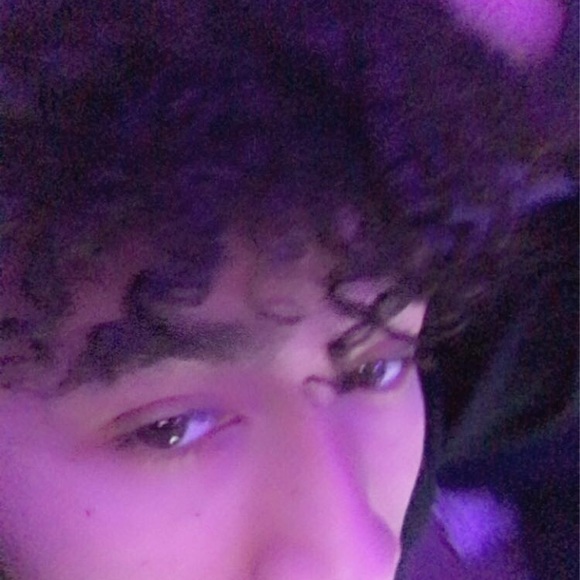 Meet your Posher, Cayden - Picture 1 of 1